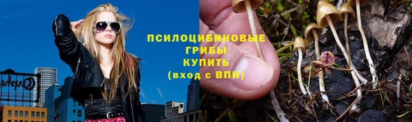 мяу мяу мука Беломорск