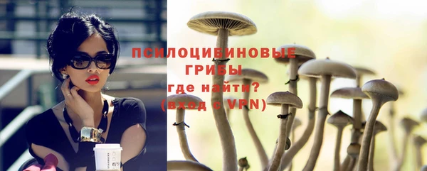 мяу мяу мука Беломорск