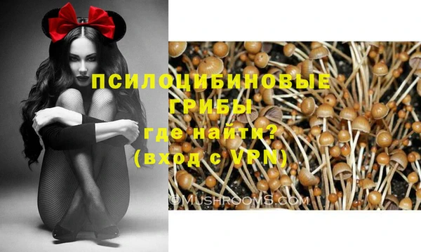 каннабис Белокуриха