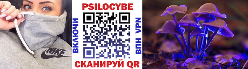 kraken онион  Звенигово  Галлюциногенные грибы Magic Shrooms 